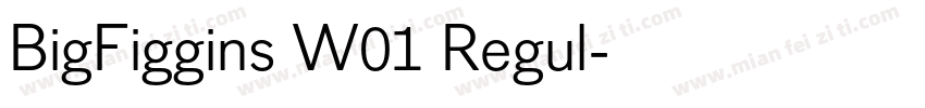 BigFiggins W01 Regul字体转换